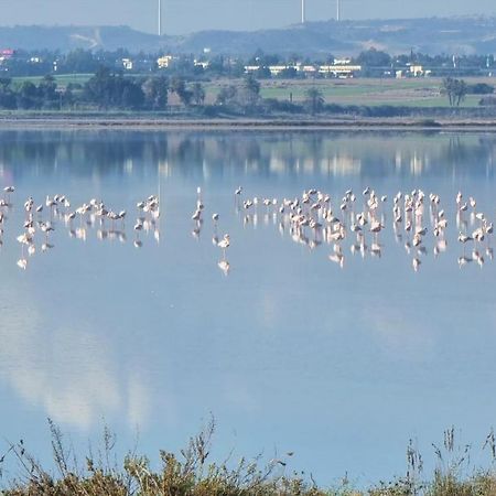 Cozy Beach Apt / 100 Mbit+ Netflix / Near Airport Larnaca Esterno foto