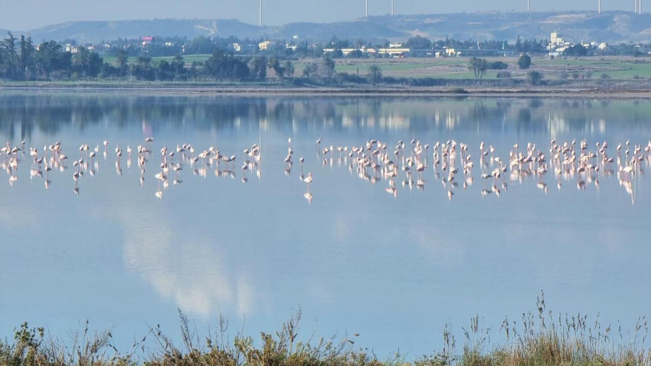 Cozy Beach Apt / 100 Mbit+ Netflix / Near Airport Larnaca Esterno foto
