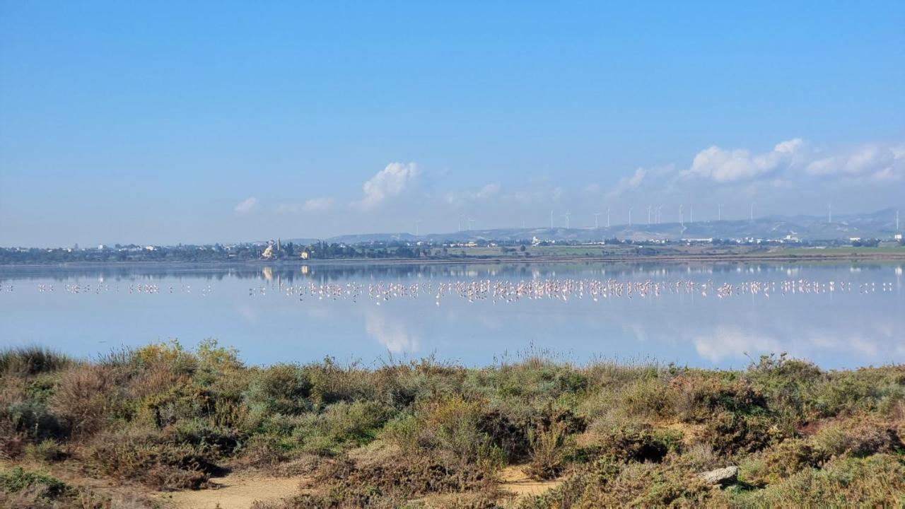 Cozy Beach Apt / 100 Mbit+ Netflix / Near Airport Larnaca Esterno foto